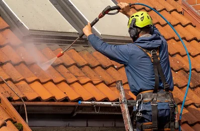 Démoussage et hydrofuge de toiture à Borrèze
